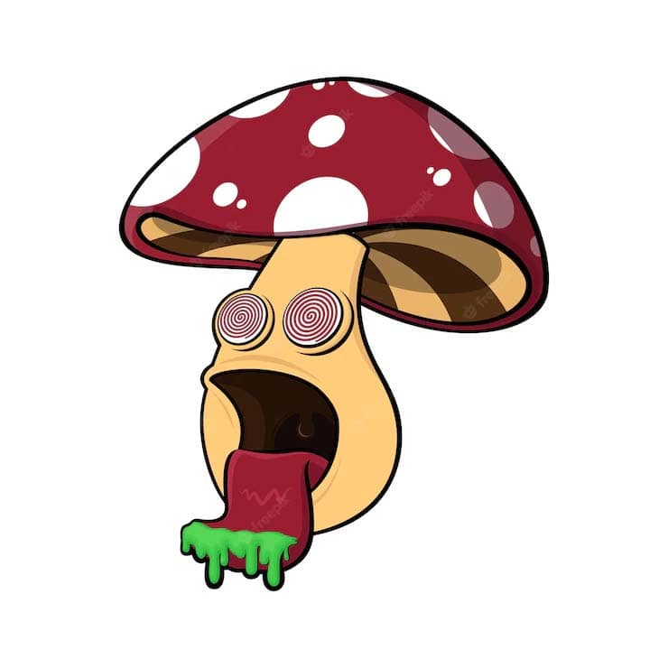 قارچ جادویی یا مجیک ماشروم