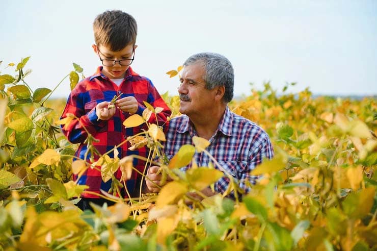 بازگشت به کار و خانواده